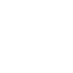 RTS-shield-1